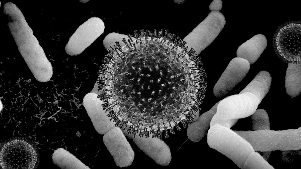 Virus cells under a microscope